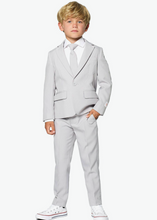 Load image into Gallery viewer, Opposuits Boys Suit - Groovy Grey