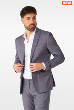 Load image into Gallery viewer, Opposuits Daily Suit - Daily Grey